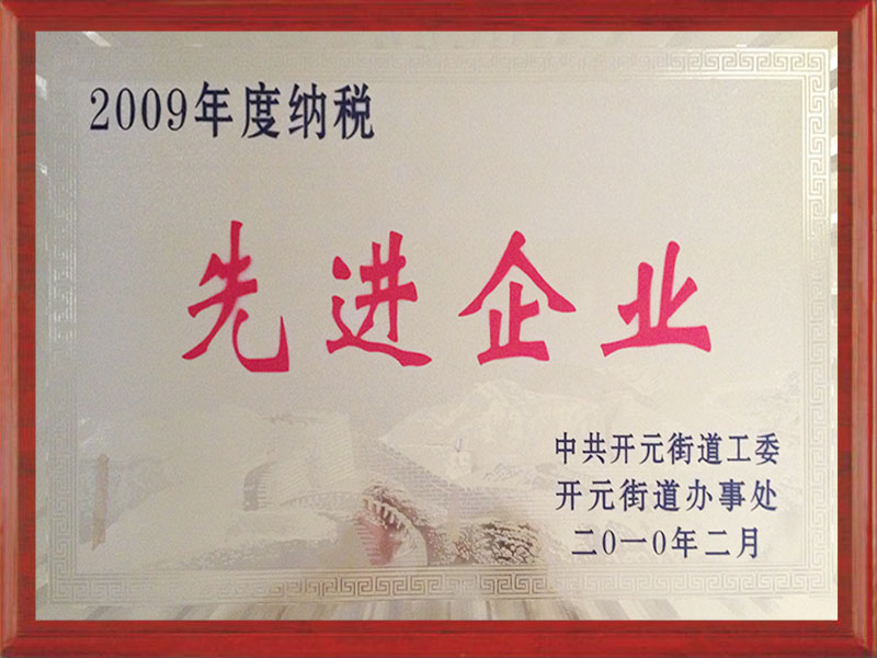 2009先進企業(yè)